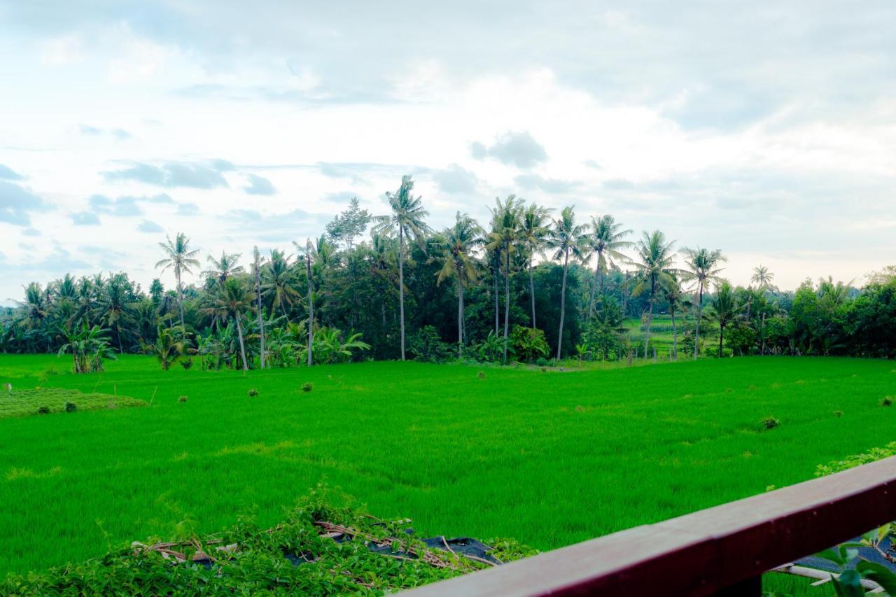 Nauna Villa Ubud Экстерьер фото
